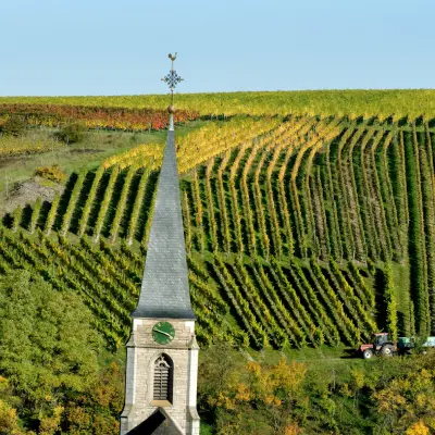 Weinberge im Taubertal